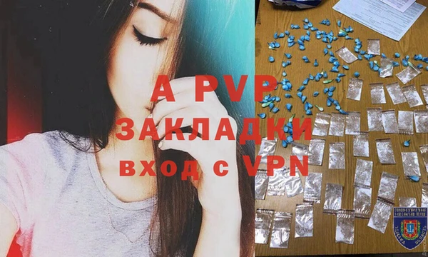гашик Алагир