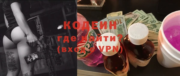 мдпв Корсаков