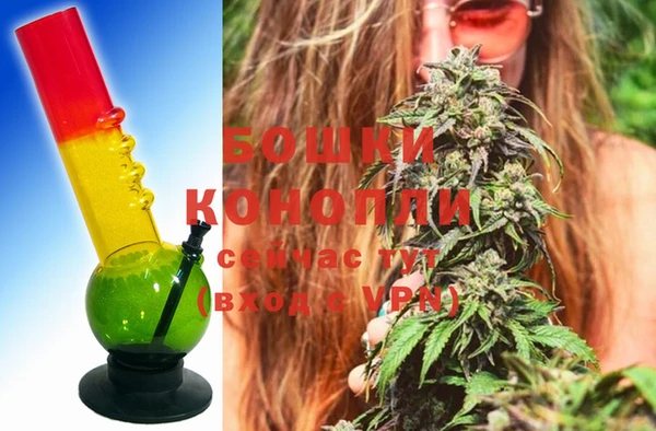 мдпв Корсаков