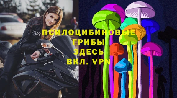 мдпв Корсаков