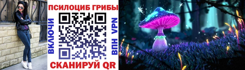 Галлюциногенные грибы GOLDEN TEACHER блэк спрут рабочий сайт Новохопёрск